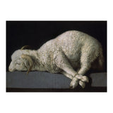 Agnus Dei - ca.1635-40 - oil on canvas - 37,3 x 62 cm - Spanish Baroque - NP 7293. (Print Only) thumbnail