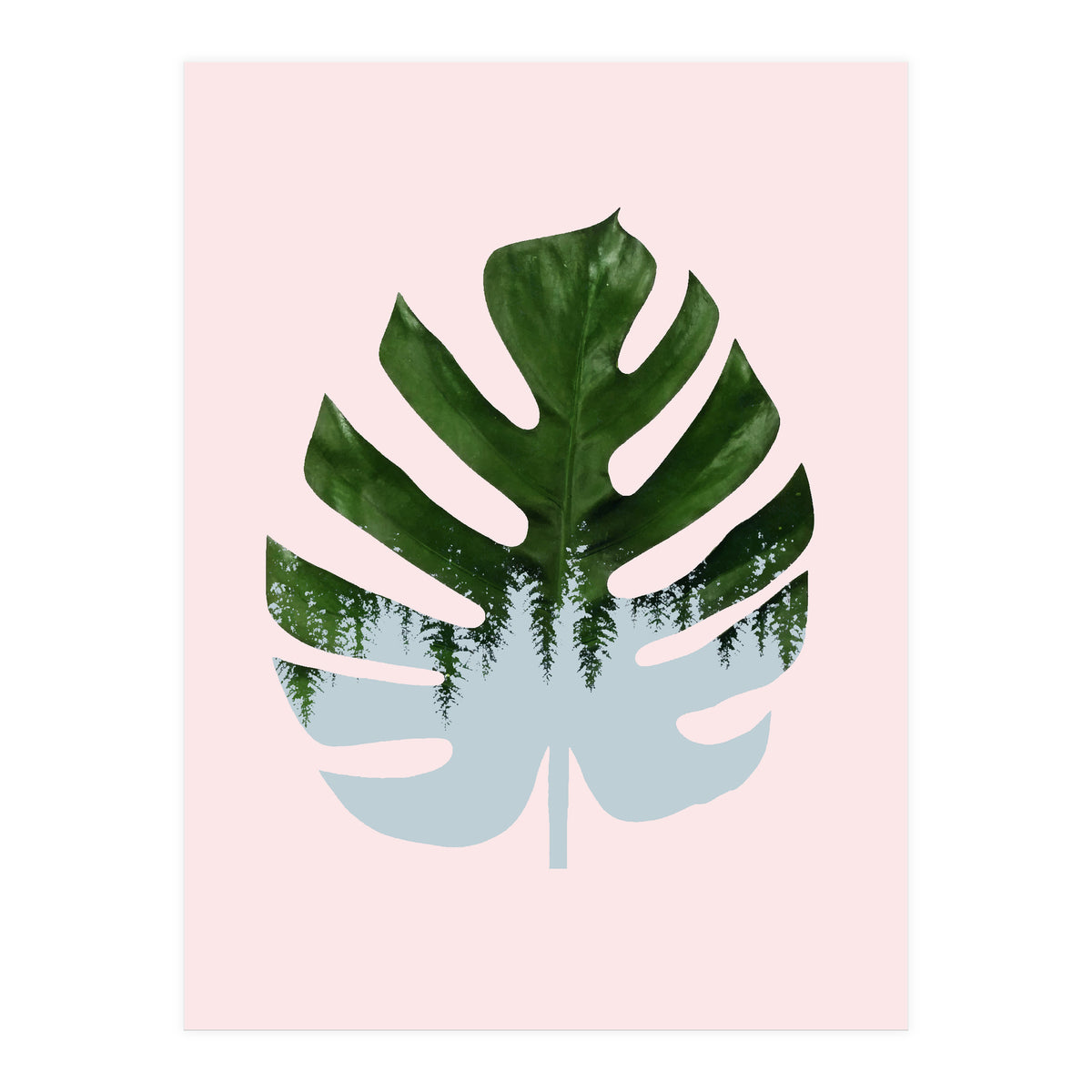 Monstera (Print Only)