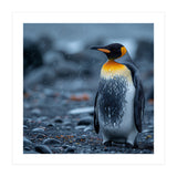 King Penguin Standing In The Rain (Print Only) thumbnail