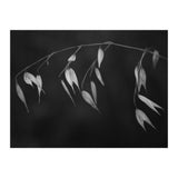In light of current events II (Print Only) thumbnail