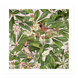 Tropical Bird Garden (Print Only) thumbnail