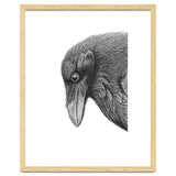 Huginn thumbnail