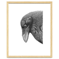 Huginn