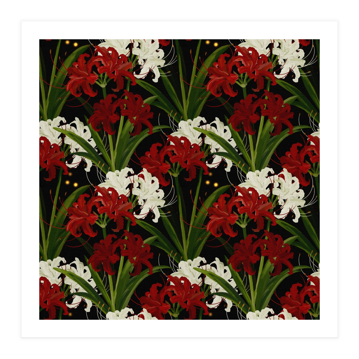 Red and White Spider Lily Flower Print Elegant Botanical Japanese Inspired Floral Artwork (Print Only)