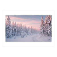 Winter’s Gentle Embrace (Print Only)