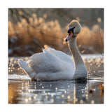 Majestic Swan On Calm Water During Sunset Nature Scene (Print Only) thumbnail