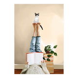 Paws And Prose (Print Only) thumbnail