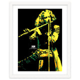 Ian Anderson Musician Legend thumbnail