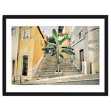 Lisbon Palm Tree thumbnail