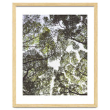 Mother Nature thumbnail