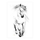 Runninh Ghorse In Water (Print Only) thumbnail