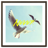 Never Settle thumbnail