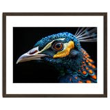 Close Up Of A Peacock Bird Head Eye thumbnail