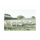 LIVING TOGETHER - WHITE COWS FAMILY (Print Only) thumbnail