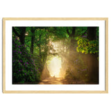 Hare in paradise thumbnail