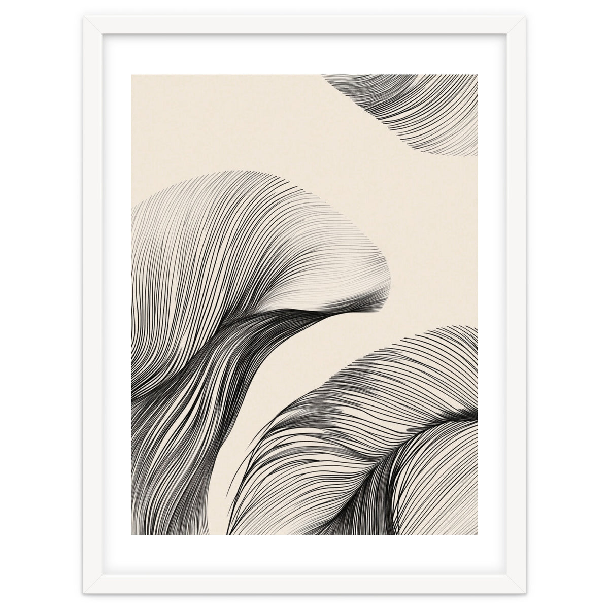 Black And White Flowing Lines Organic Shapes