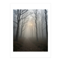 Ethereal Morning Light Breaking Through Dense Forest Fog (Print Only)