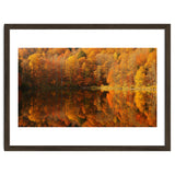 Autumn Reflections thumbnail