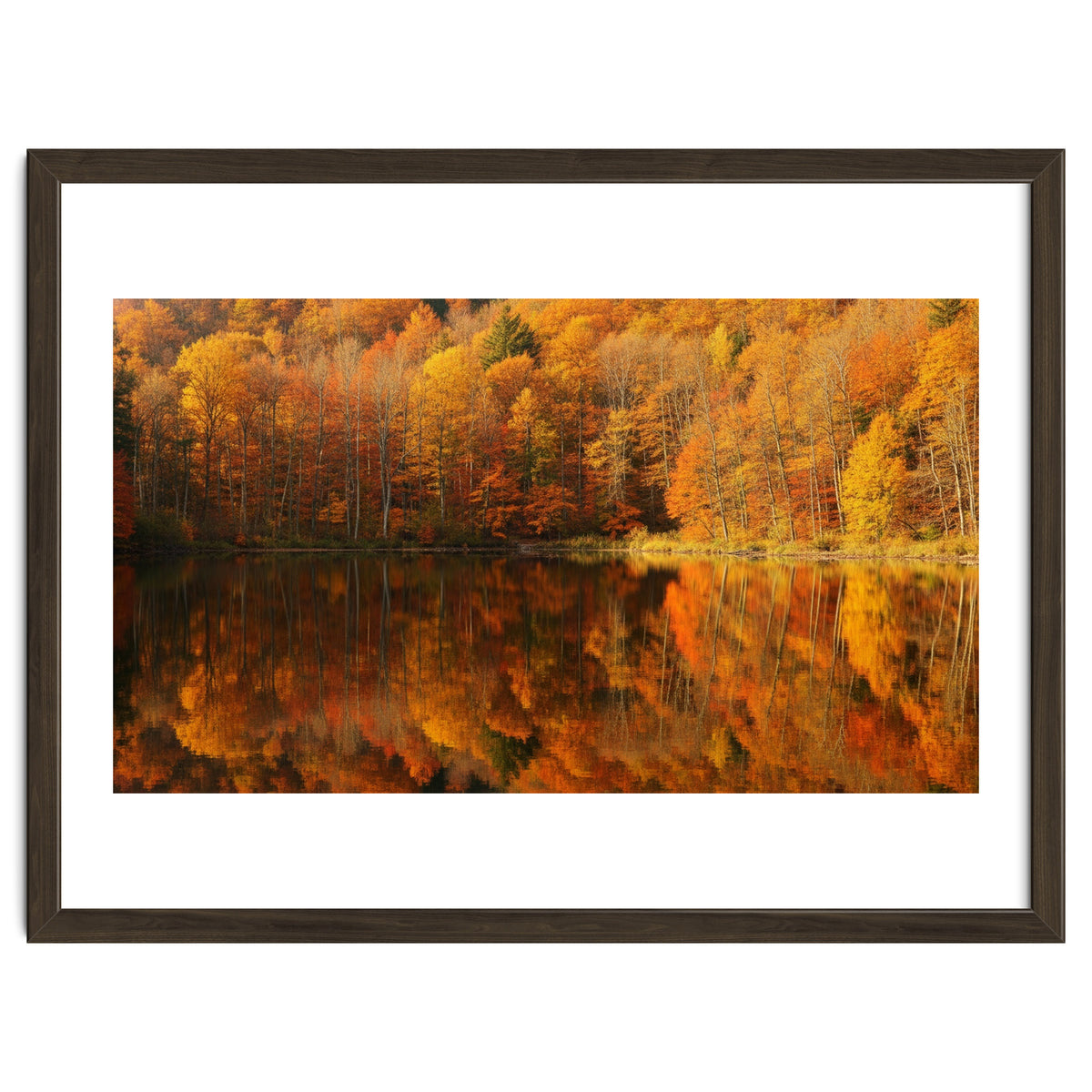 Autumn Reflections