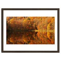Autumn Reflections