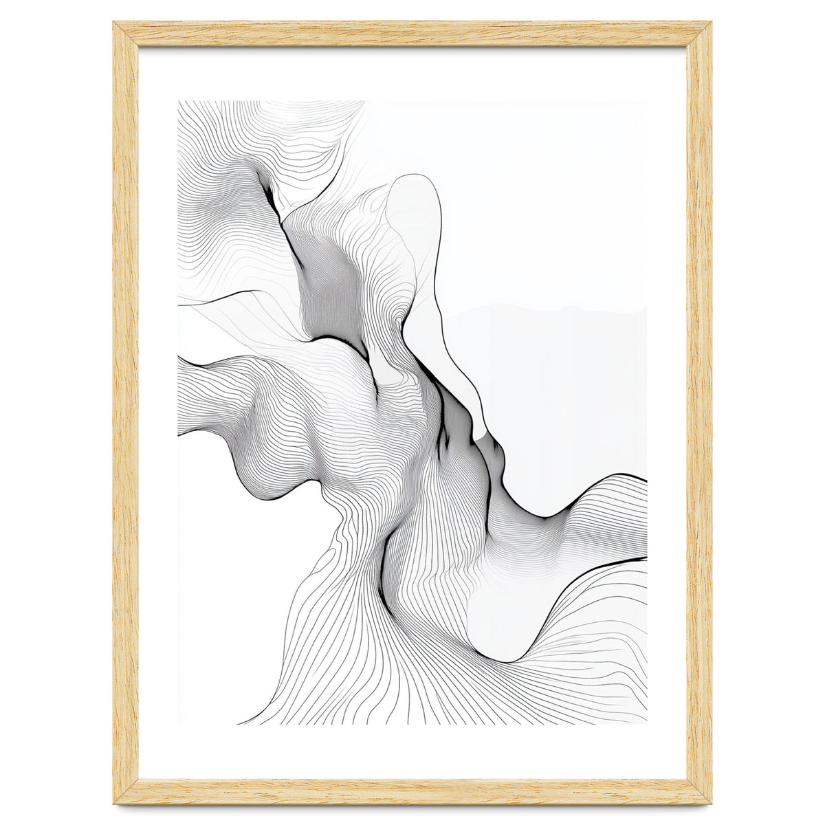 Abstract Black And White Flowing Lines