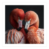 Close Up Of Two Flamingos Nuzzling Together (Print Only) thumbnail