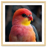 Vibrant Tropical Bird thumbnail