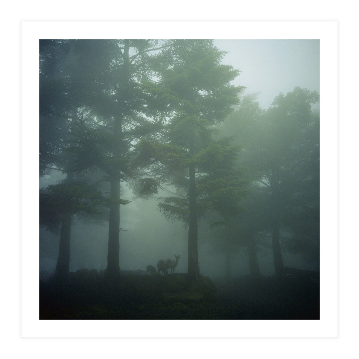 Silence of breath - 10 (Print Only)