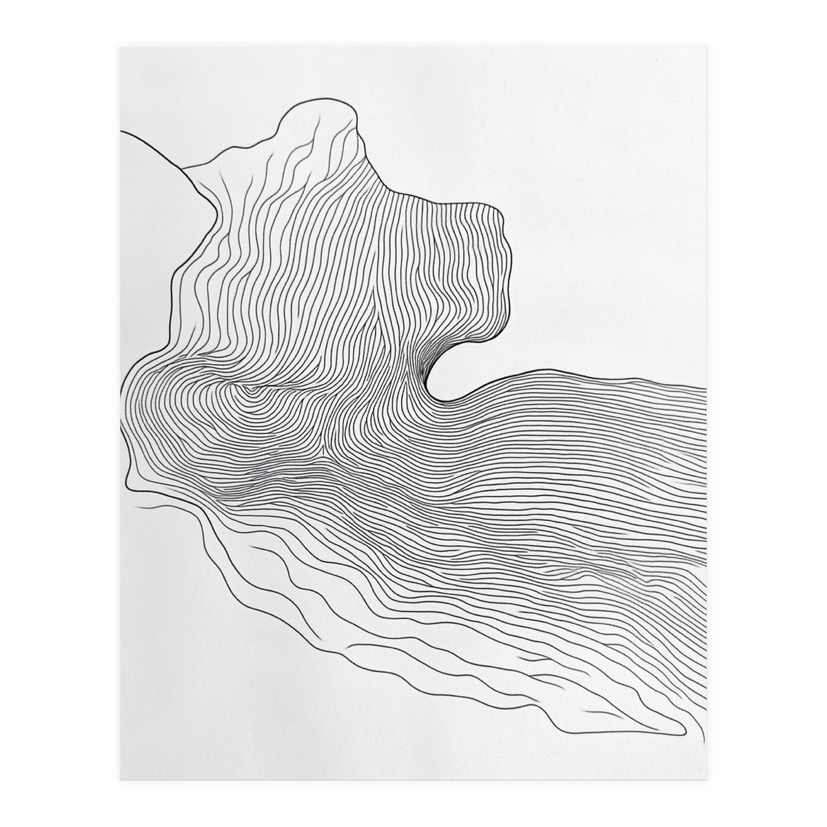 Abstract Black And White Organic Flowing Lines Pattern (Print Only)