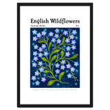 English Wildflowers | Forget-Me-Not thumbnail