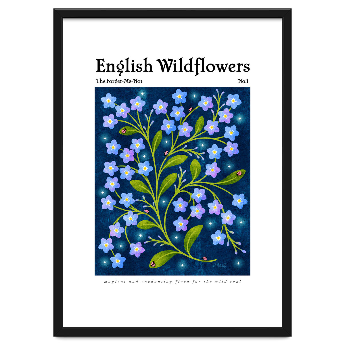 English Wildflowers | Forget-Me-Not