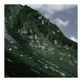 SKIN OF NATURE - WILD CLIFF (Print Only) thumbnail
