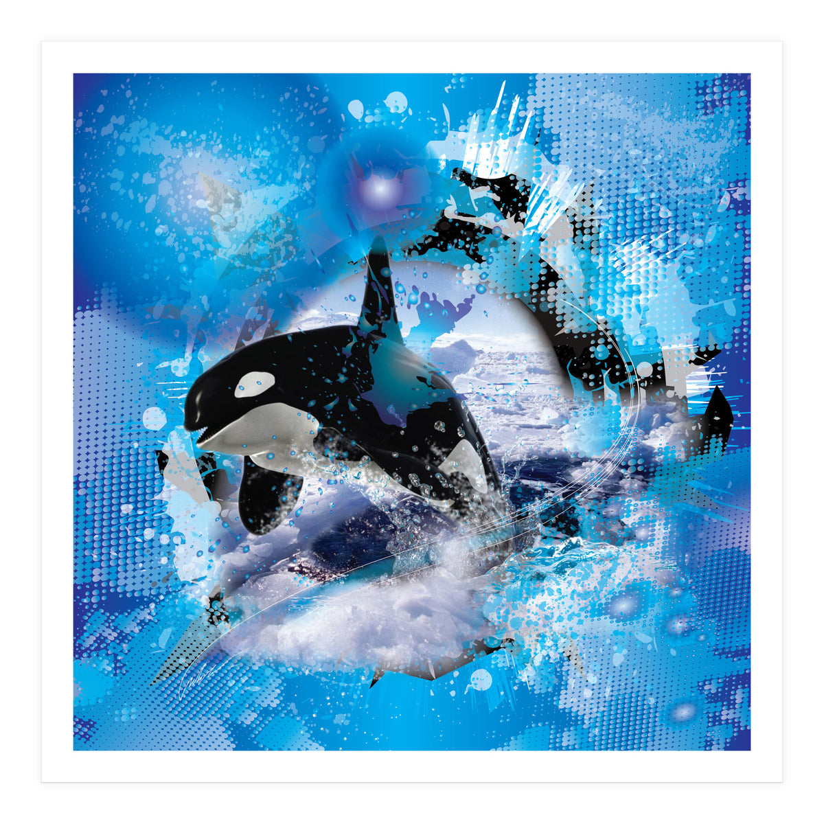 Orca (Print Only)