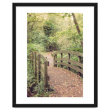 Path To The Bridge thumbnail
