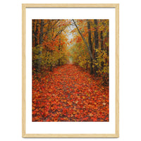 Lush Autumn Forest Path Covered