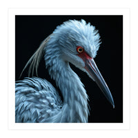 Striking Portrait Of A Blue Heron Bird (Print Only)