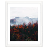 Fog thumbnail