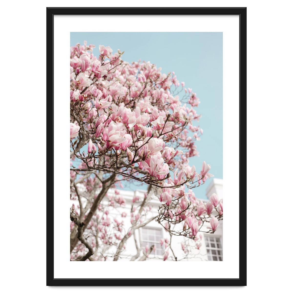 Spring Time