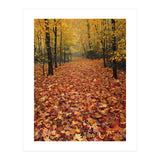 Ethereal Autumn Forest Path (Print Only) thumbnail
