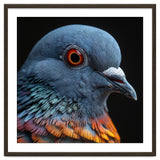 Close Up Of A Pigeon Bird thumbnail