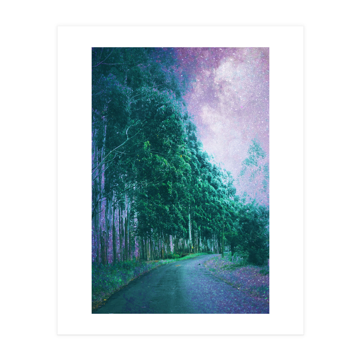 Magical Path (Print Only)