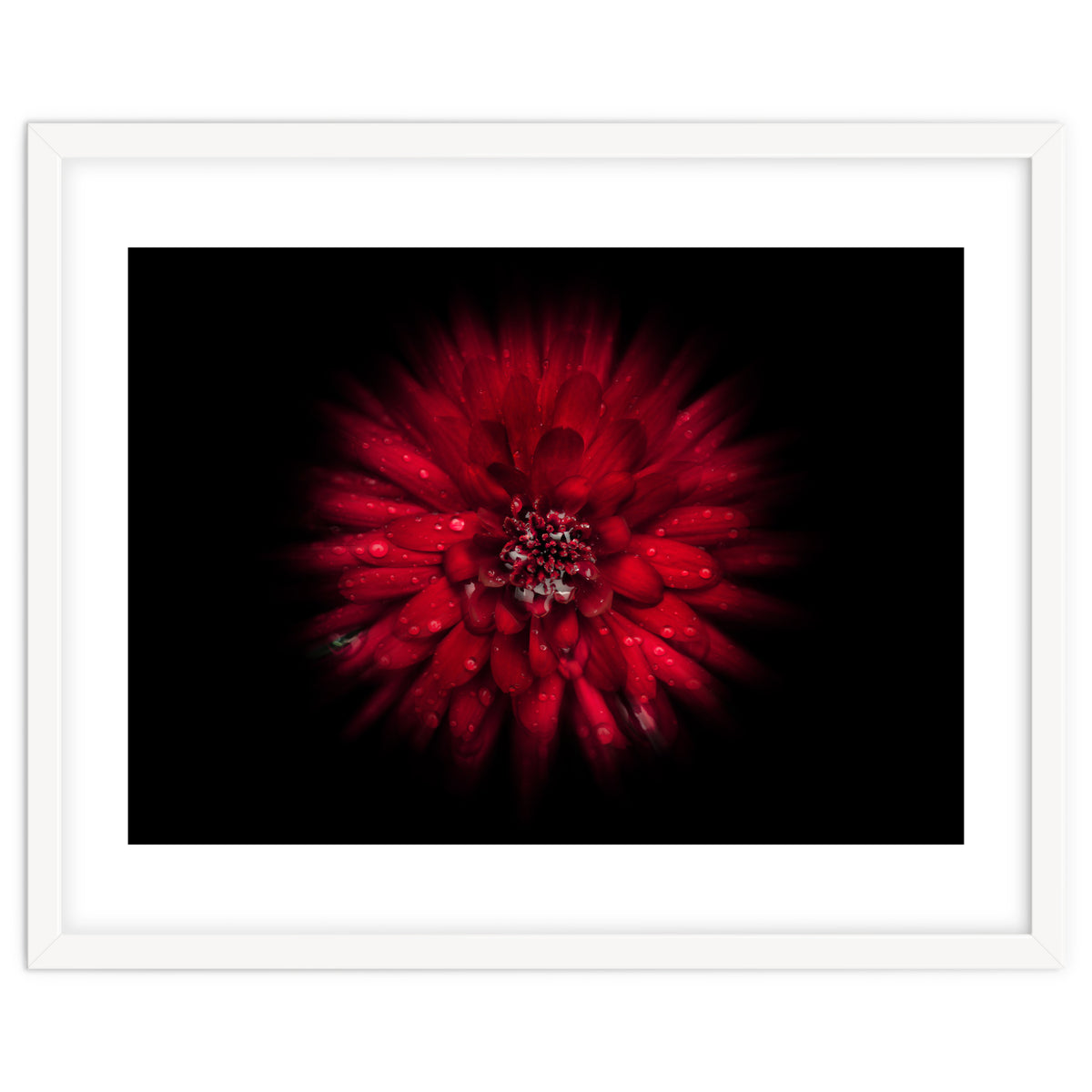 Backyard Flowers No 45 Color Flow Version