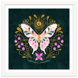 Butterfly And Sun thumbnail
