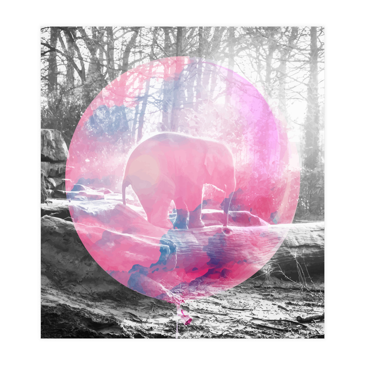 Baby Elephant In A Balloon (Print Only)