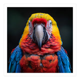 Close Up Portrait Of A Colorful Macaw Parrot (Print Only) thumbnail
