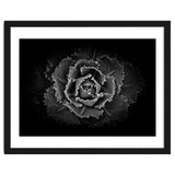 Backyard Flowers In Black And White No 101 thumbnail