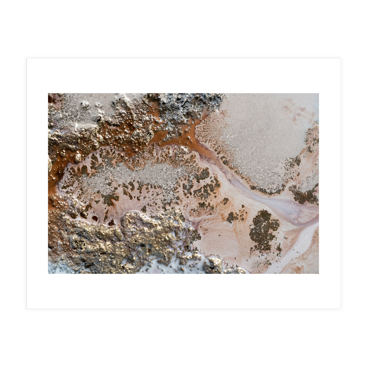 Conection (Print Only)