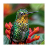 Close Up Of A Hummingbird On Red Flowers (Print Only) thumbnail