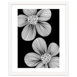 Blossom lines thumbnail