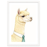 Alpaca thumbnail